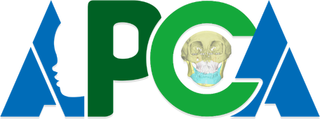 A description of the image.